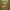 https://res.cloudinary.com/billionhands/image/upload/v1775206264/items/y333jcngvmmghun9iekz.jpg-0cover