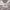 https://res.cloudinary.com/billionhands/image/upload/v1775206303/items/v45v25nrc2wh3qqqyqxz.webp-3cover