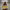 https://res.cloudinary.com/billionhands/image/upload/v1775206426/items/kmtuo2hw1thaos5m48gg.jpg-0cover