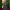 Cynthia Erivo's glamorous gown (Golden Globe Awards 2025) cover