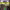 https://res.cloudinary.com/billionhands/image/upload/v1775206719/items/ndbyrgj1gc2zogbuqbu5.jpg-0cover