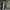 https://res.cloudinary.com/billionhands/image/upload/v1775206756/items/d6iffjuf3pko3fjorq5l.webp-2cover