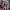 Anna Faris y Chris Pratt (2017) cover
