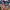 https://res.cloudinary.com/billionhands/image/upload/v1775206878/items/bypf9gteaww208gbjjnk.webp-2cover