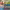 https://res.cloudinary.com/billionhands/image/upload/v1775206880/items/yqvsdpufl2yyxtodpf5e.jpg-2cover
