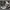 https://res.cloudinary.com/billionhands/image/upload/v1775206904/items/fvoo8jm3m7czhmuaenyk.webp-2cover
