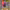 https://res.cloudinary.com/billionhands/image/upload/v1775206985/items/samh2kzzwzakfsfgipqq.jpg-0cover