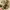 https://res.cloudinary.com/billionhands/image/upload/v1775206986/items/n0lehk8trgs0yhvocv50.webp-2cover