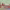 https://res.cloudinary.com/billionhands/image/upload/v1775207166/items/xe5jlndwhwhxcuxg9qeg.jpg-2cover