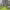 https://res.cloudinary.com/billionhands/image/upload/v1775207167/items/eopsulr3bcxd8xxvpff9.jpg-2cover