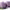 https://res.cloudinary.com/billionhands/image/upload/v1775207440/items/vvtgnucyd1pav3wl6a8x.webp-3cover