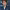 Jacob Elordi cover