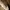 https://res.cloudinary.com/billionhands/image/upload/v1775207526/items/kcqfgtf1jtvmyfz7hyzp.jpg-1cover