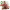 https://res.cloudinary.com/billionhands/image/upload/v1775207554/items/plcwzuus1moohuksohub.webp-3cover