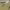 https://res.cloudinary.com/billionhands/image/upload/v1775207607/items/ft0hzoe6yamqllu59ngv.jpg-0cover