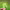 https://res.cloudinary.com/billionhands/image/upload/v1775207635/items/gmgywfgrhgp2t2nxoesl.webp-2cover