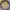 https://res.cloudinary.com/billionhands/image/upload/v1775207783/items/pftiienoaoidk49simzm.webp-3cover