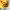 https://res.cloudinary.com/billionhands/image/upload/v1775207785/items/olhapiacsco9ssjb3hla.jpg-1cover