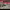 https://res.cloudinary.com/billionhands/image/upload/v1775207789/items/fvbocsyqyqdql9c07ybn.jpg-1cover
