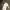https://res.cloudinary.com/billionhands/image/upload/v1775207876/items/jcj0ej61y3kmhifxnvrg.webp-1cover