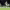 https://res.cloudinary.com/billionhands/image/upload/v1775207890/items/gfboxwtgoylabtklwacu.jpg-1cover
