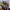 https://res.cloudinary.com/billionhands/image/upload/v1775207912/items/erkie0twgathuterofa7.jpg-1cover