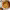 https://res.cloudinary.com/billionhands/image/upload/v1775207923/items/dhe5szqb2lqcq6yadzet.webp-3cover