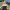 https://res.cloudinary.com/billionhands/image/upload/v1775207952/items/nugw6fsnsrej7pog1lah.webp-3cover