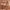 https://res.cloudinary.com/billionhands/image/upload/v1775207974/items/vbiwyq4deyo04lr67u4g.webp-3cover