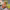 https://res.cloudinary.com/billionhands/image/upload/v1775208112/items/rqeet3jdwznutbhit7fw.jpg-1cover