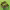 https://res.cloudinary.com/billionhands/image/upload/v1775208157/items/uutcxwifxljafvz2skku.jpg-0cover