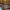 https://res.cloudinary.com/billionhands/image/upload/v1775208183/items/jxdsaqowue1f66taxpwm.jpg-0cover