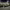 https://res.cloudinary.com/billionhands/image/upload/v1775208184/items/ti0mdkkwsf5arc6hpjl6.jpg-1cover