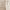 https://res.cloudinary.com/billionhands/image/upload/v1775208251/items/pduz5hakb4eb6gyeozds.webp-2cover
