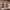 https://res.cloudinary.com/billionhands/image/upload/v1775208340/items/ars9ir5tuptliccxxq1g.jpg-2cover