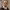 https://res.cloudinary.com/billionhands/image/upload/v1775208470/items/odfnrlckejiohh4kohd3.webp-0cover