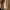 https://res.cloudinary.com/billionhands/image/upload/v1775208476/items/cxsuvub32oofv2otzp61.webp-3cover