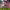 https://res.cloudinary.com/billionhands/image/upload/v1775208486/items/jncvzpwaxqbpfveogeos.jpg-2cover