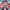 https://res.cloudinary.com/billionhands/image/upload/v1775208988/items/lxpptf5kqvtpwjq9mc2m.jpg-0cover