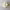 https://res.cloudinary.com/billionhands/image/upload/v1775209017/items/rbembofn15sepehwdwcz.webp-1cover