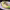 https://res.cloudinary.com/billionhands/image/upload/v1775209204/items/bdh7eedbr9tgibgzfdsm.png-2cover