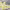 https://res.cloudinary.com/billionhands/image/upload/v1775209211/items/l7bq3iwbb4noxtbibtwg.webp-3cover