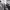 https://res.cloudinary.com/billionhands/image/upload/v1775209347/items/wiwwnoxrposcyhdtgjvv.jpg-2cover