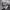 https://res.cloudinary.com/billionhands/image/upload/v1775209353/items/i3jldubx6qz6fvzujaf4.avif-3cover