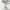 Matthew Ryals with effe effe – Exalge (2025) cover