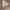 https://res.cloudinary.com/billionhands/image/upload/v1775209428/items/xe9zdaysmfunstai2km6.jpg-2cover