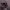 https://res.cloudinary.com/billionhands/image/upload/v1775209469/items/jn5wawy32gbkbnq83hmo.webp-2cover