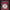 https://res.cloudinary.com/billionhands/image/upload/v1775209509/items/ljiz2dsfgmfu5h96ud0q.jpg-0cover
