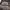https://res.cloudinary.com/billionhands/image/upload/v1775209513/items/ovfhqphyeoztvltedmzr.jpg-1cover
