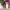 https://res.cloudinary.com/billionhands/image/upload/v1775209565/items/koazh01gjr4bmenrjico.jpg-2cover
